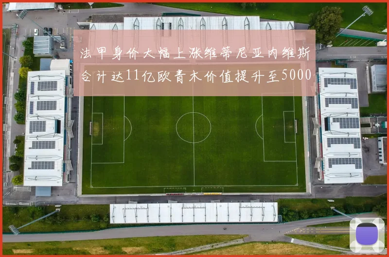 法甲身价大幅上涨维蒂尼亚内维斯合计达11亿欧青木价值提升至5000万