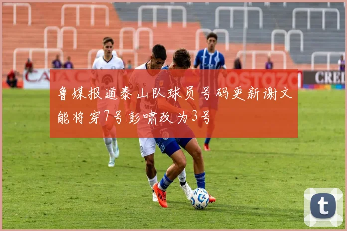 鲁媒报道泰山队球员号码更新谢文能将穿7号彭啸改为3号