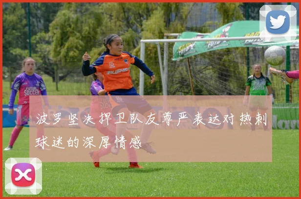 波罗坚决捍卫队友尊严表达对热刺球迷的深厚情感