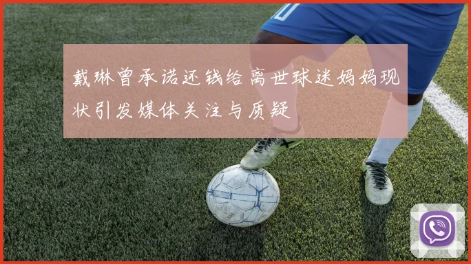 戴琳曾承诺还钱给离世球迷妈妈现状引发媒体关注与质疑