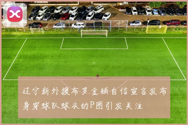 辽宁新外援布罗金顿自信宣言发布身穿球队球衣的P图引发关注